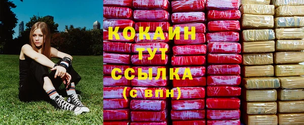альфа пвп Саяногорск