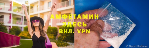 шишки Володарск