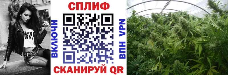 хочу наркоту  Мытищи  Марихуана планчик 